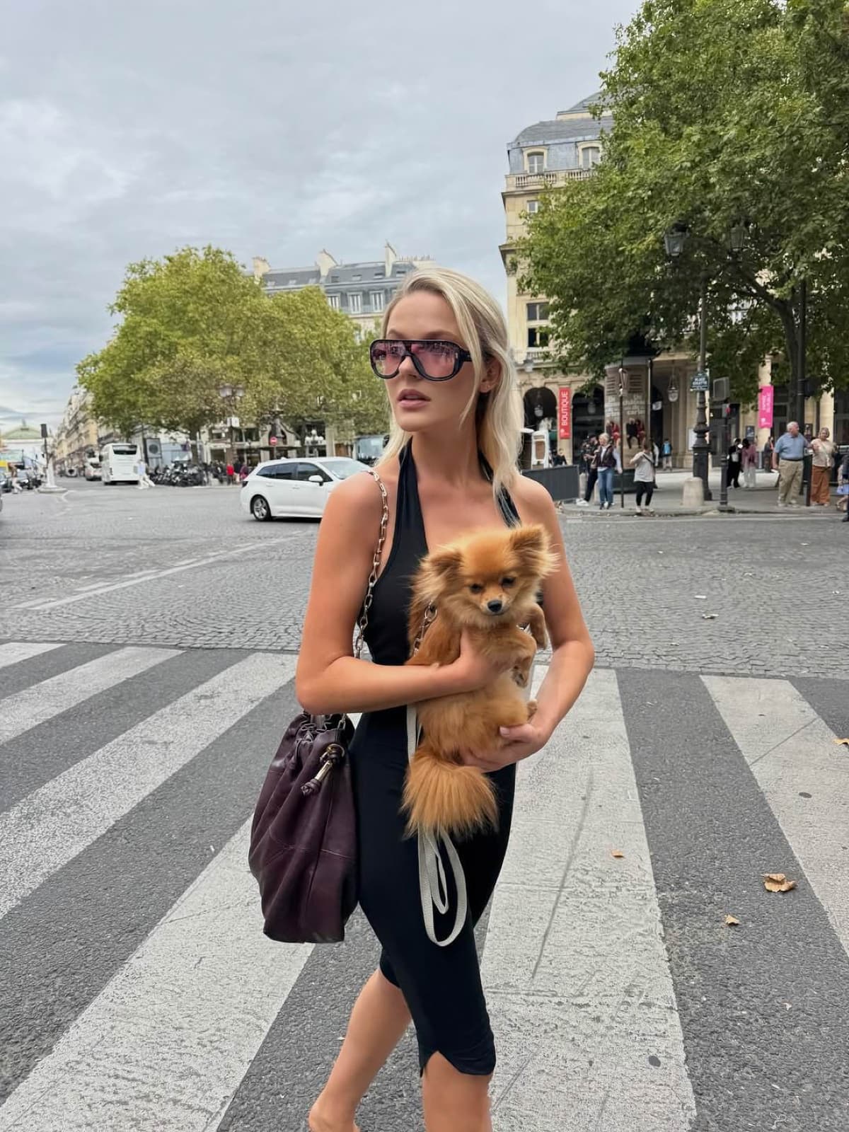 Woman holding a fluffy dog on a Paris crosswalk, a candid instagrammable city scene by SabShots
